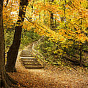 Autumn Stairs Poster