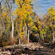 Autumn Stream In Dry Fork Canyon Poster
