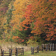 Autumn Trees And Fence Poster