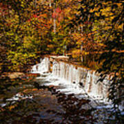 Autumn Trees On Duck River Poster