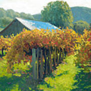 Autumn Vineyards Poster