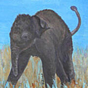 Baby Asian Elephant Exploring Poster