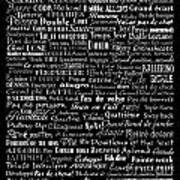 Ballet Terms White On Black Poster