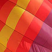 Balloon Shell Colors Poster