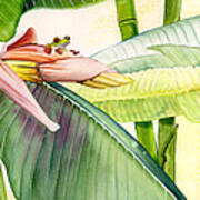 Banana Bloom Poster