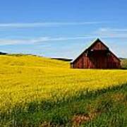 Barn On The Palouse Poster