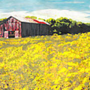 Barn Yellow Spring Fields Maryland Landscape Fine Art Painting Poster