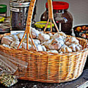 Basket Of Garlic Poster