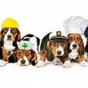 Bassets In Work Hats Poster
