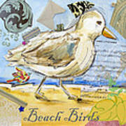 Beach Birds Poster