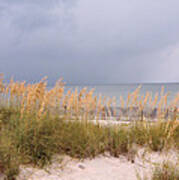 Beach On West Ship Island Poster