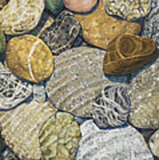 Beach Rocks Of The Puget Sound Poster