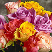 Beautiful Bouquet Of Multicolor Roses Poster