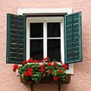 Beautiful Window With Flower Box And Shutters Poster