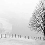 Beautiful Winter Landscape With Tree And Fence Poster