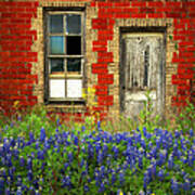 Beauty And The Door - Texas Bluebonnets Wildflowers Landscape Door Flowers Poster