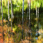 Beaver Pond Reflections 1 Gatineau Park Quebec Poster