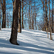 Behind Mccauley Mountain Poster