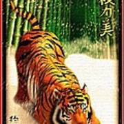 Bengal Tiger In Snow Storm Poster