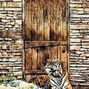 Beware Of House Cat Beautiful Tiger Poster