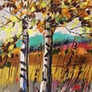 Birches In Autumn Light Poster