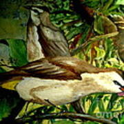 Bird From Bali Poster
