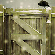 Bird On A Gate In The Snow Poster