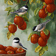 Bird Painting - Apple Harvest Chickadees Poster