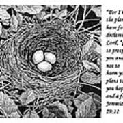 Bird's Nest With Scripture Poster