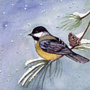 Black-capped Chickadee Poster