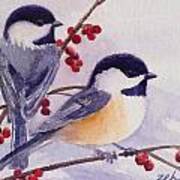 Black-capped Chickadees Poster