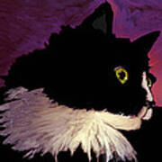 Black Cat On Purple Horizontal Poster