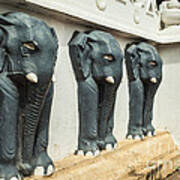 Black Elephants On Temple Wall Poster