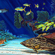 Black Grouper Reef Poster