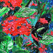 Black Tropical Butterfly On Red Flowers Poster