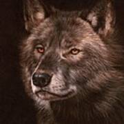 Black Wolf Poster