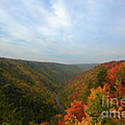 Blackwater Gorge In Fall Poster