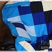 Blue And White Patchwork Quilt Poster