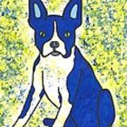 Blue Bulldog Poster