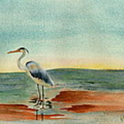 Blue Heron At Sunrise Poster