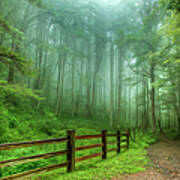 Blue Ridge Parkway - Foggy Country Road And Trees Ii Poster