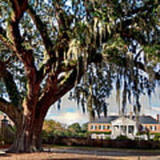 Boone Hall Mansion Poster