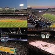 Boston Sport Teams And Fans Poster