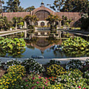 Botanical Building Reflecting In The Lily Pond At Balboa Park Poster