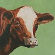 Bovine Beauty Poster