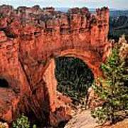 Bryce Canyon Arches Poster
