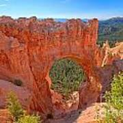 Bryce Canyon National Park Arch Poster