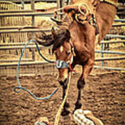 Bucking Poster