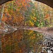 Bucks County Foliage Under The Bridge Poster