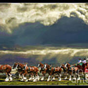 Budweiser Clydesdales Paint 1 Poster